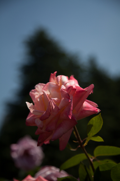 2012-05-19-10-47-39.jpg