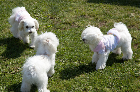 20120512-142014.jpg