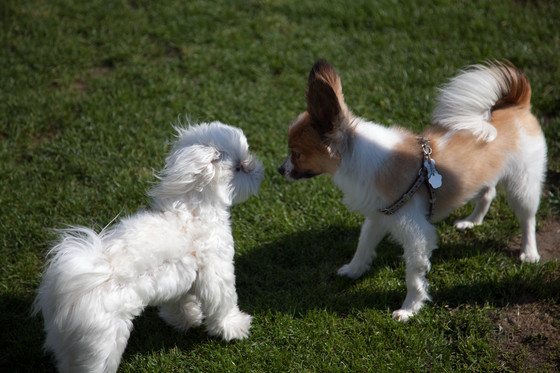 20120512-152703.jpg