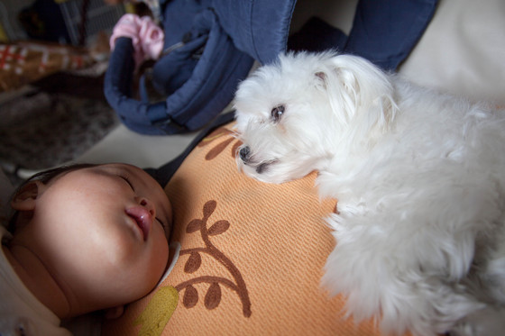 20120515-095334.jpg