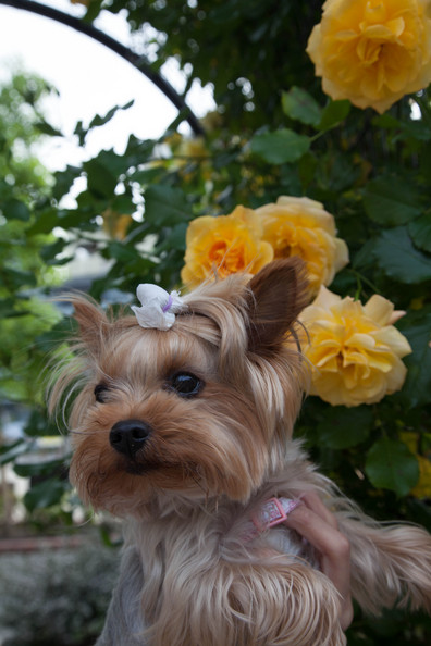 20120519-171638.jpg