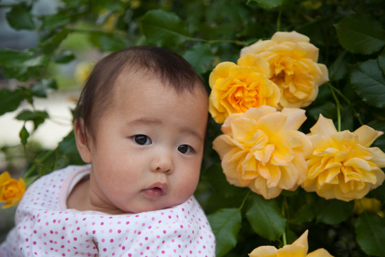 20120519-172216.jpg