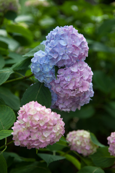 2012-06-02-14-15-10.jpg
