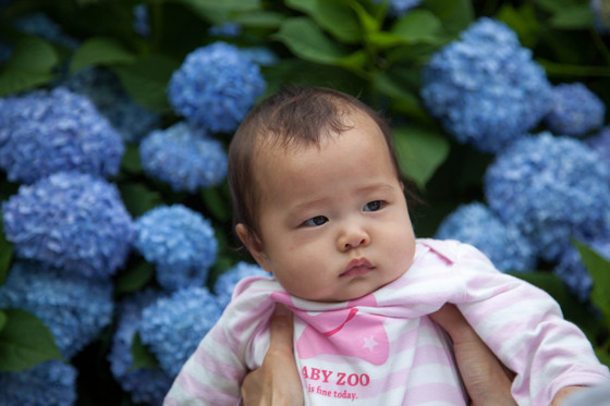 20120602-140556-2.jpg