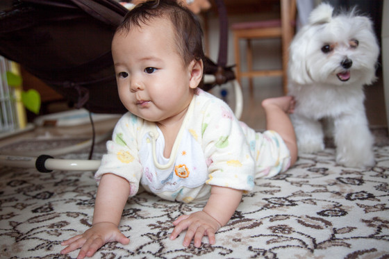 20120603-144724.jpg