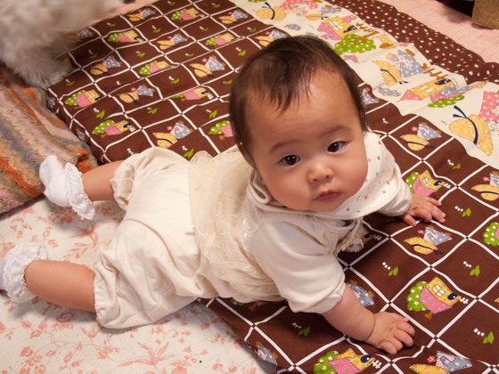 20120606-164449.jpg