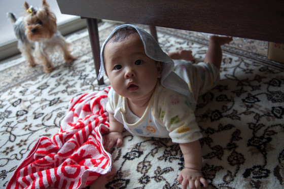 20120620-133647.jpg