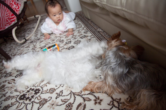20120621-104434.jpg