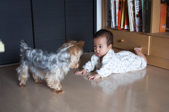 20120624-112729.jpg