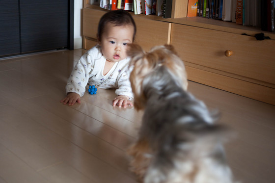 20120624-112734.jpg