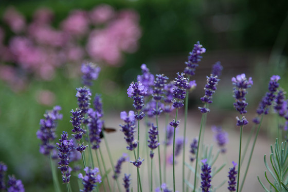 20120630-121947.jpg