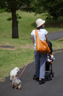 20120630-132825.jpg