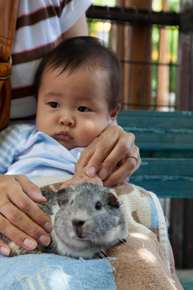 20120716-121510.jpg