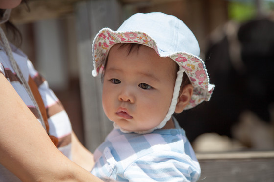20120716-124455.jpg