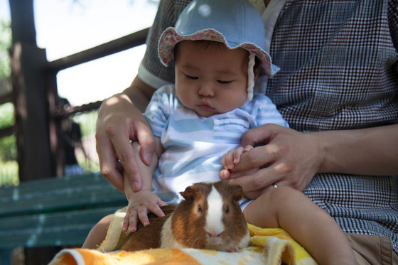 20120716-132149.jpg