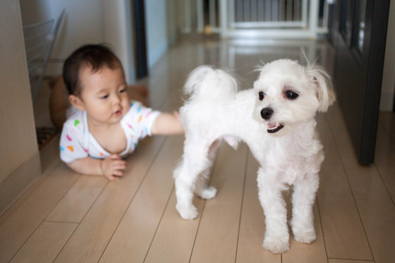 20120717-104508.jpg