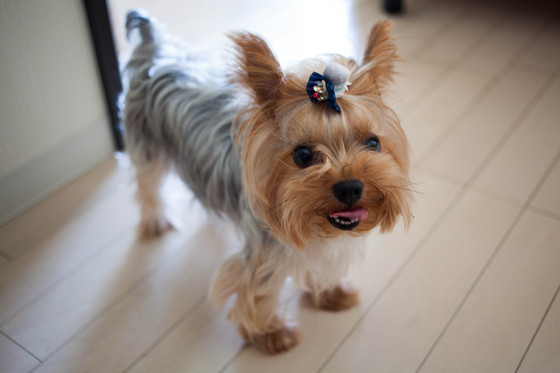 20120717-104632.jpg