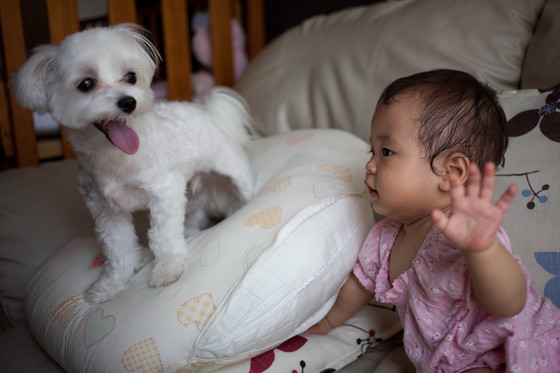 20120730-140959.jpg