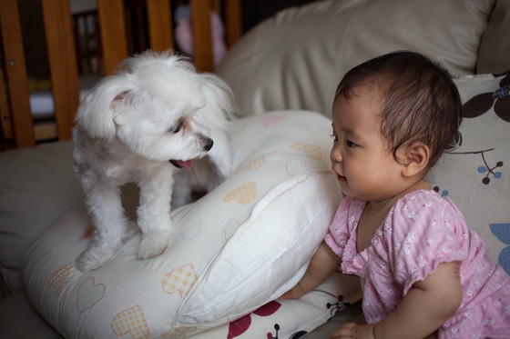 20120730-141000.jpg