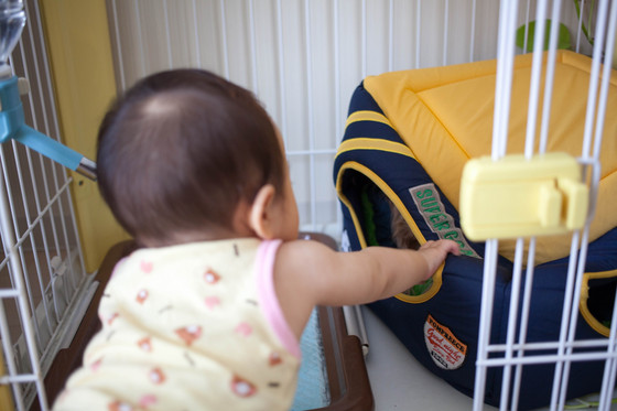 20120802-114818.jpg