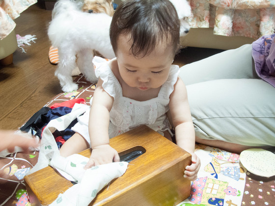 20120818-110225.jpg