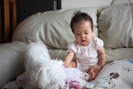 20120905-132230.jpg