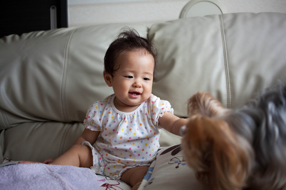 20120905-132515.jpg