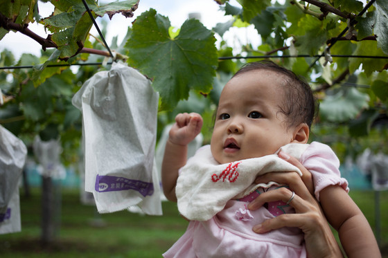 20120929-110542.jpg