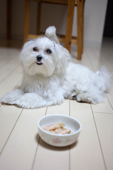 20121112-194051.jpg