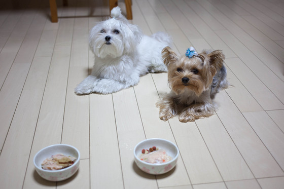 20121112-194134.jpg
