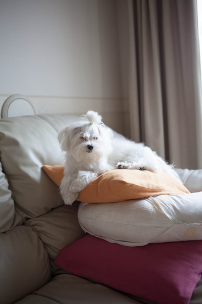 20121113-092352.jpg