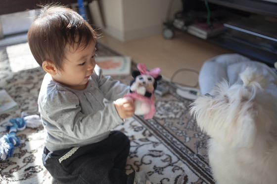 20121114-115612.jpg