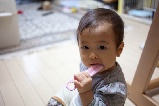 20121115-163120.jpg