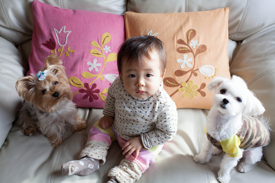 20121129-101307.jpg
