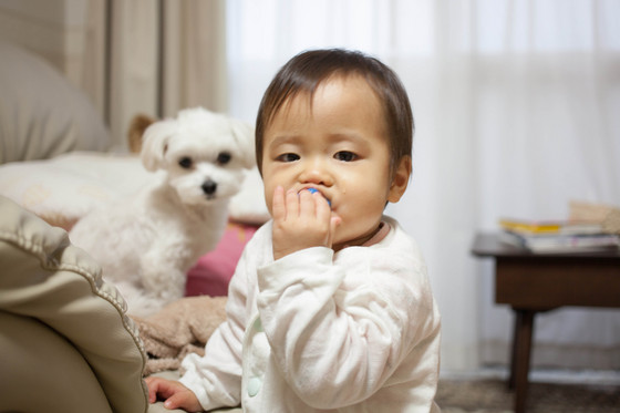 20121203-160606.jpg