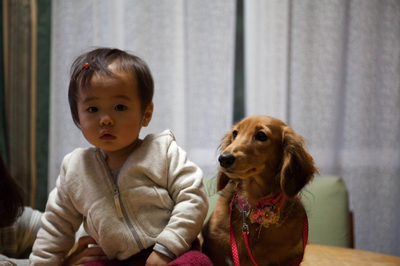 20130104-165900.jpg