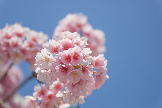 2013-03-16-14-42-58.jpg