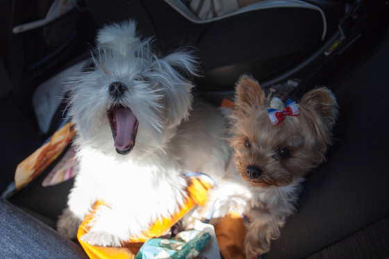 20130309-121043.jpg