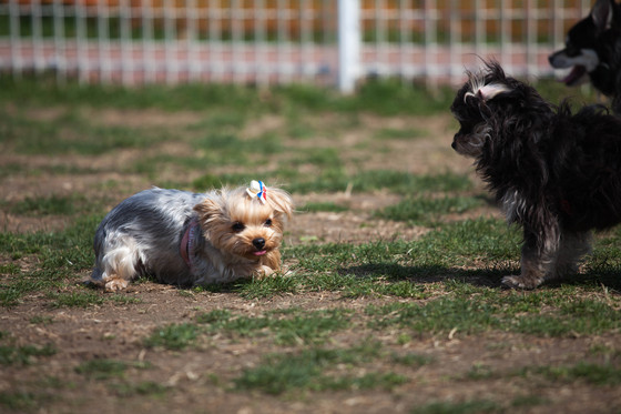 20130309-125125.jpg