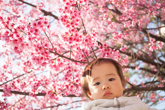 20130316-144521.jpg
