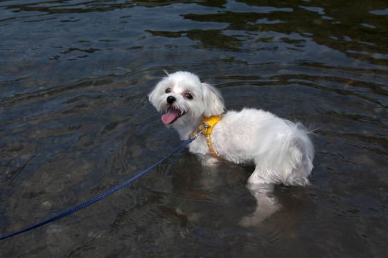 20120804-134729.jpg