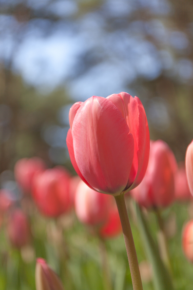 2013-04-13-10-52-11.jpg