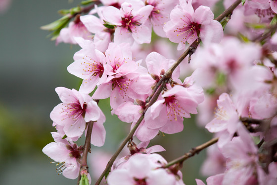 20130323-144251.jpg