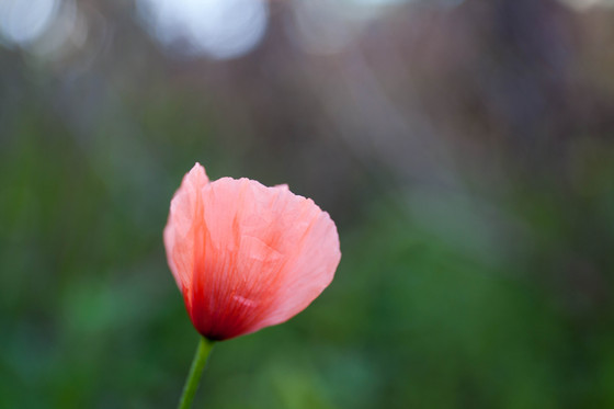 20130407-141652.jpg