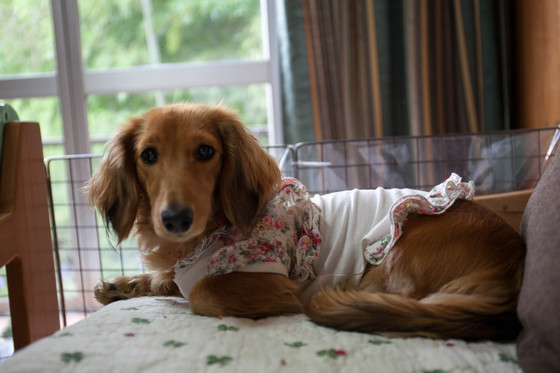 20130417-170458.jpg