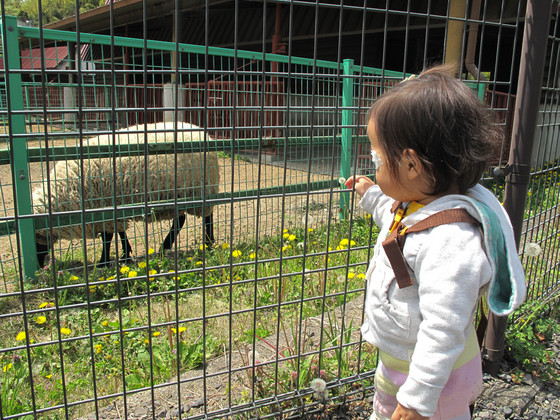20130418-114059.jpg