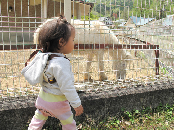 20130418-115402.jpg