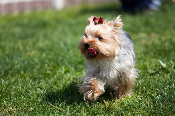 20130504-140825.jpg