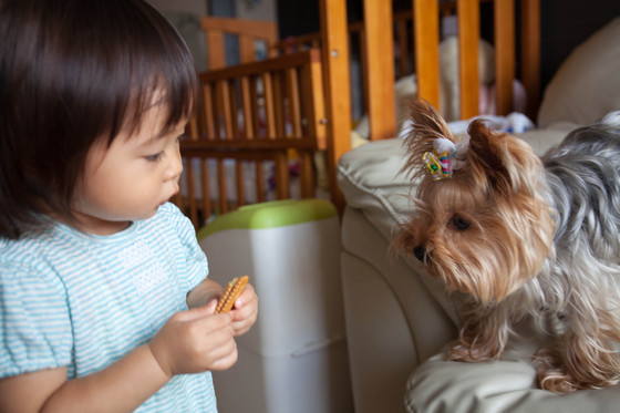20130623-110613.jpg