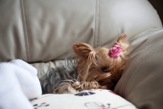 20130705-153555.jpg